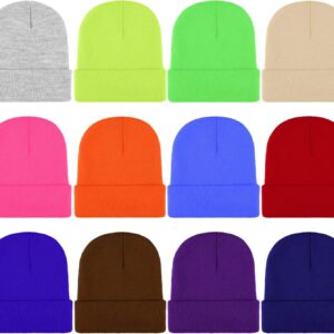 12 Packs Winter Beanie Cold Weather Hats Soft Knitted Cuff Beanie Warm Skull Caps for  and Wo Homeless Donation